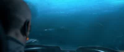 Chew on this you ugly bastard - The Meg