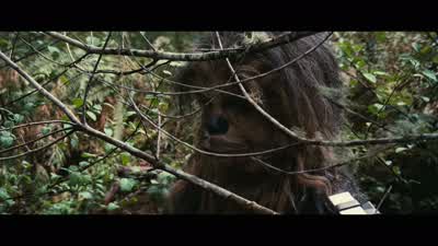 Chewie and I will take care of this You stay hereQuietly There might be more of them out thereHey it's me - Star Wars: Episode VI   Return of the Jedi