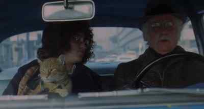 - Chicago, Chicago
- Chicago, Chicago - Harry and Tonto