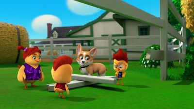 Chicken Squad, search along the fence! - The Chicken Squad