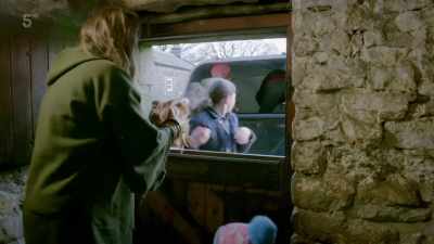 CHICKEN SQUAWKS - Our Yorkshire Farm