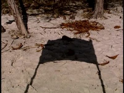 (chickens clucking) - Survivor