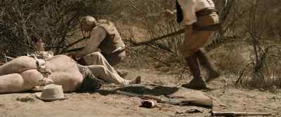 Chicory. - Bone Tomahawk