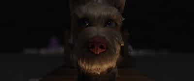 Chief, are you willing to accept Atari as your direct master, to serve and protect his safety and welfare with all courage, loyalty and friendship? - Isle of Dogs