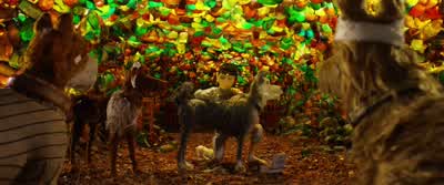 Chief ought to get a check-up, too. - Isle of Dogs