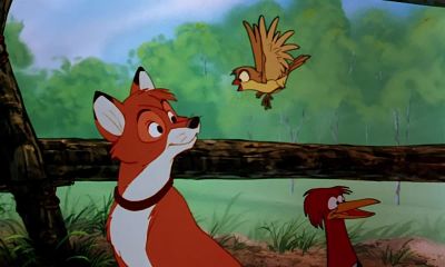 Chief! - The Fox and the Hound