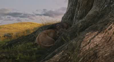 Chigaru jumped like 20 feetOh that's a new recordObasi they did it againYour sons are nothing but troubleThat one is not my sonThey're heathens the both of themThis stray is forbidden to be near the Shade TreeMufasa and I were just playingYou two will - Mufasa: The Lion King