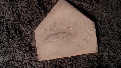 - (child) All right, let's play some ball!
- Swing it in here. - The X-Files