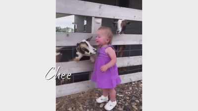 [child speaking] - Down Home Fab