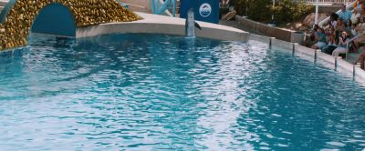 Children and animals hate you Ron Burgundy - Anchorman 2: The Legend Continues
