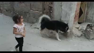 Children here love him, - Dogs