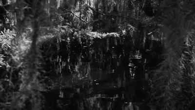 [Children Shouting In Distance] - Louisiana Story