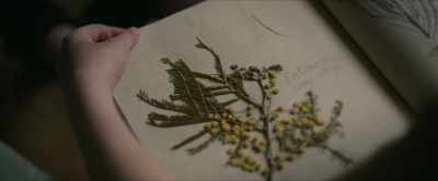[chimes tinkle] - The Lost Flowers of Alice Hart