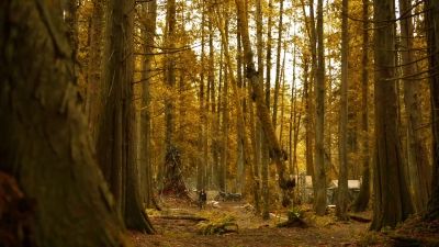 [Chiming,
indistinct transmissions] - The 100