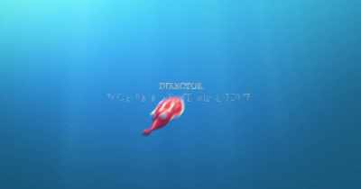 (chiming music) - Dolphin Boy