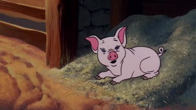 Chin up chin up - Charlotte's Web