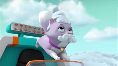 (Chirping) - PAW Patrol