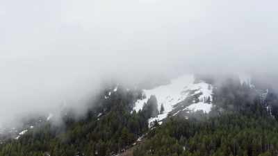 [chirping] - Epic Yellowstone