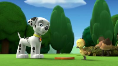 (Chirping) - PAW Patrol