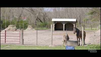 Chirping] - The Pike County Murders: A Family Massacre