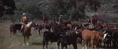 Chisum's again. Another jinglebob, sir. - Chisum