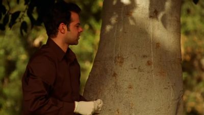 Chocolate, almonds, coconuts. - CSI: Miami