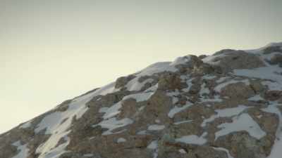 CHODAN:
Snow leopard with baby, - Ghost of the Mountains