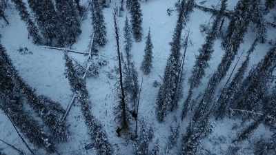 [chopping] - Life Below Zero: Next Generation