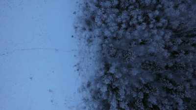 [chopping] - Life Below Zero: Next Generation