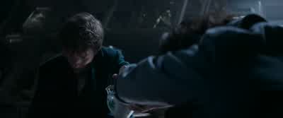 Choranaptyxic. - Fantastic Beasts and Where to Find Them