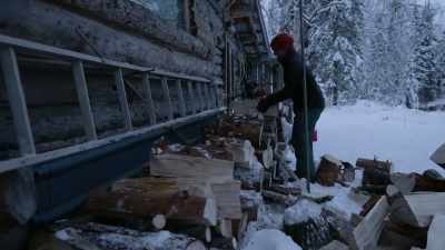 CHRIS: And not only is it
a really good firewood, - Life Below Zero: Next Generation