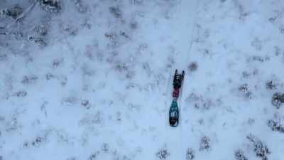 CHRIS: Back in fall,
I found this massive
dead standing dry tree. - Life Below Zero: Next Generation