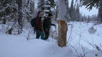 CHRIS: I'll let you
know what it looks like. - Life Below Zero: Next Generation