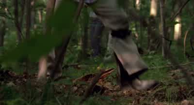 Chris! - It's a bear trap. - Wrong Turn