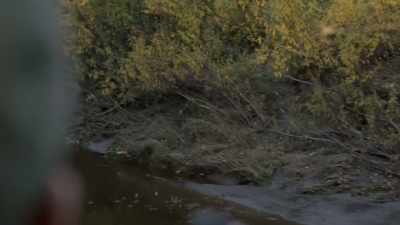 CHRIS: Let's get 'em!
Here they come. - Life Below Zero: Next Generation