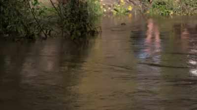 CHRIS: Look how much this
river's come overnight. - Life Below Zero: Next Generation