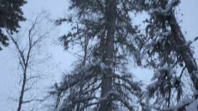 CHRIS: Oh, there it is.
Monster. - Life Below Zero: Next Generation
