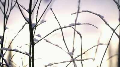 CHRIS: Out here, everything
is a little different, - Life Below Zero: Next Generation