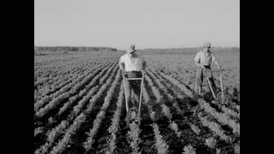(chris ramsaroop):
After world war ii, - Black Life: Untold Stories