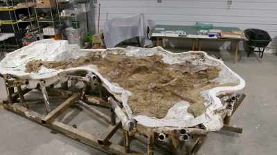 Chris: RIGHT HERE, WE HAVE
ENOUGH EXPOSED - Dino Hunters