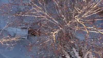 CHRIS: The first thing
I'd like to do is just
measure the trail, - Life Below Zero: Next Generation