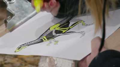 Chris: THIS IS A MASTER PUZZLE,
BUT EVERYTHING IS CATALOGUED. - Dino Hunters