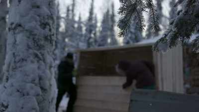 CHRIS: Ugh! It's a pretty
big gap down here, - Life Below Zero: Next Generation