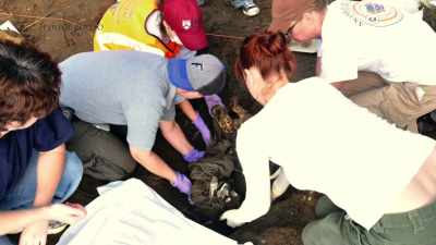 Christian was found
in a shallow grave, - Floribama Murders