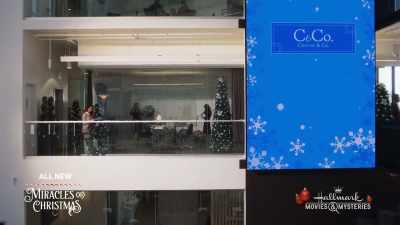 [CHRISTMAS JINGLE PLAYING] - A Godwink Christmas: Second Chance, First Love
