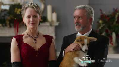 [Christmas music playing] - A Royal Corgi Christmas