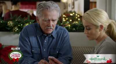 "Christmas - The Mistletoe Secret