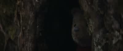 Christopher? - Christopher Robin