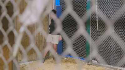 Christy: As soon as mom sees
that door is open, - Secrets of the Zoo