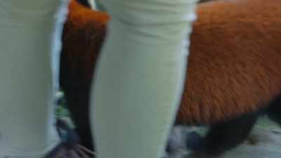 Christy: "I need to go
smell things some more." - Secrets of the Zoo